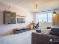 Byt 2+1 Cheb, Dřevařská – fotografie 6