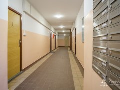 Garsoniera  s vybavenim po rekonstrukci. – fotografie 8
