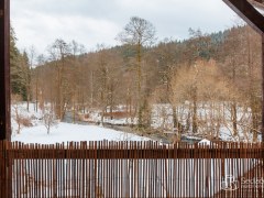 Rodinný dům v Kraslicích po částečné rekonstrukci, s velikým pozemkem – fotografie 20