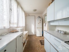 Zahrádka s chatou v zahrádkářské kolonii v Novém Sedle – fotografie 5