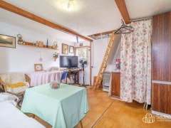 Zahrádka s chatou v zahrádkářské kolonii v Novém Sedle – fotografie 7