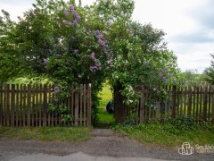 Vesnický RD ve Skomelně  – fotografie 26