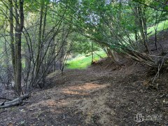 Svažitý pozemek nabízíjící realizaci stavby s výhledem na  zalesněné svahy! – fotografie 8