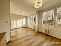Pronájem bytu 3+1 68 m2, Mečíkova, Praha – fotografie 20