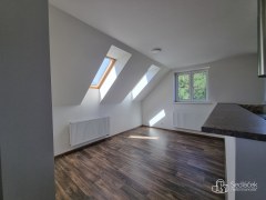 Nadstandardní podkrovní byt 5+kk s lodžií (138m2) ve Svatavě. – fotografie 13