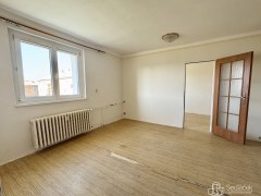 Prodej bytu 1+1 39,6 m² , Ostrov nad Ohří – fotografie 5