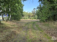 Prodej souboru pozemků 3 887m²  u Jesenické přehrady. – fotografie 8
