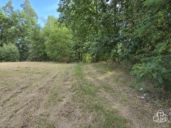 Prodej souboru pozemků 3 887m²  u Jesenické přehrady. – fotografie 9