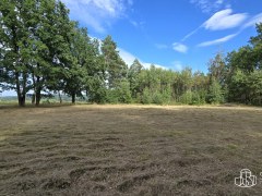 Prodej souboru pozemků 3 887m²  u Jesenické přehrady. – fotografie 5