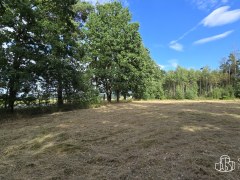 Prodej souboru pozemků 3 887m²  u Jesenické přehrady. – fotografie 6