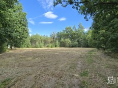 Prodej souboru pozemků 3 887m²  u Jesenické přehrady. – fotografie 7