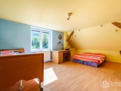 RD v Sokolově - Vítkově, vícegenerační s pozemkem (3.727m2) a dvěma rybníky – fotografie 24