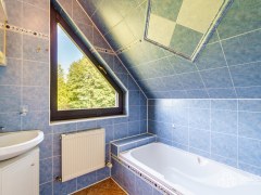 RD v Sokolově - Vítkově, vícegenerační s pozemkem (3.727m2) a dvěma rybníky – fotografie 18