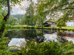 RD v Sokolově - Vítkově, vícegenerační s pozemkem (3.727m2) a dvěma rybníky – fotografie 44