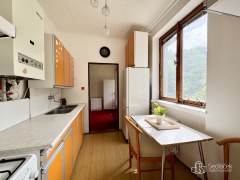 Pronájem bytu 2+1, Praha - Braník – fotografie 9