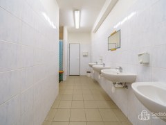 Prodej výrobní haly s možností rozšíření – Krásno u Bečova – fotografie 19