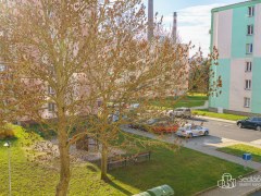 Byt 1+1 Nové Sedlo, ul. Revoluční – fotografie 20