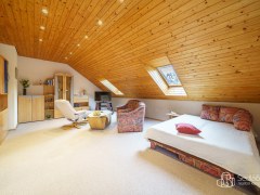 Rodinná vila s velkorysou dispozicí, garáží na tři auta  a pozemkem 4 069 m² – Loket – fotografie 17
