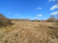 Prodej pozemku 20 262 m² – Anenská Ves u Krajkové – fotografie 8