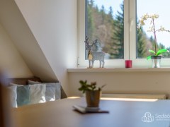 Moderní horský byt 3+kk (79 m²) – 5 minut od lanovky na Klínovec – fotografie 12