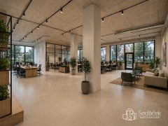 Reprezentativní komerční prostor 350 m² v Sokolově – fotografie 1
