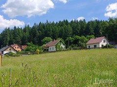 Horská chalupa 3 až 4+kk, 135 m², pozemek 543 m², Stříbrná – Krušné hory – fotografie 32