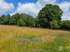 Dům  v rekonstrukci se  zahradou 1012 m2 na Bublavě. – fotografie 16
